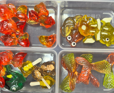 Gummy-candy-hard-candy-equipment